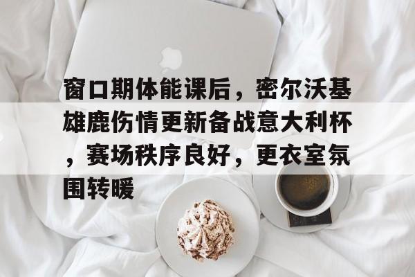 开云体育sports-窗口期体能课后，密尔沃基雄鹿伤情更新备战意大利杯，赛场秩序良好，更衣室氛围转暖的简单介绍-开云体育sports